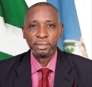 Africa’s Modernisation at Risk, Warns NIPSS Director-General
