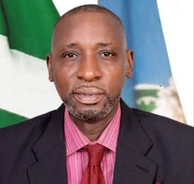 Africa’s Modernisation at Risk, Warns NIPSS Director-General