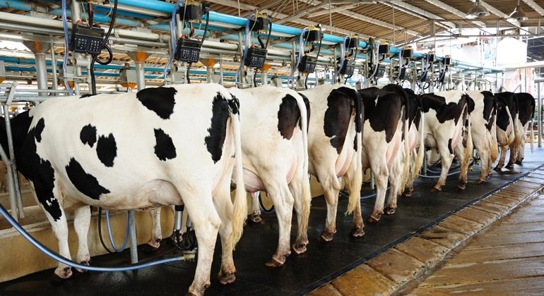 AI-Powered Spectroscopy Set to Transform Nigeria’s Dairy Quality Control