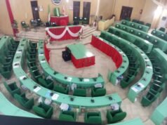 Kano to adopt Hausa as school teaching language Kano to adopt Hausa as school teaching language