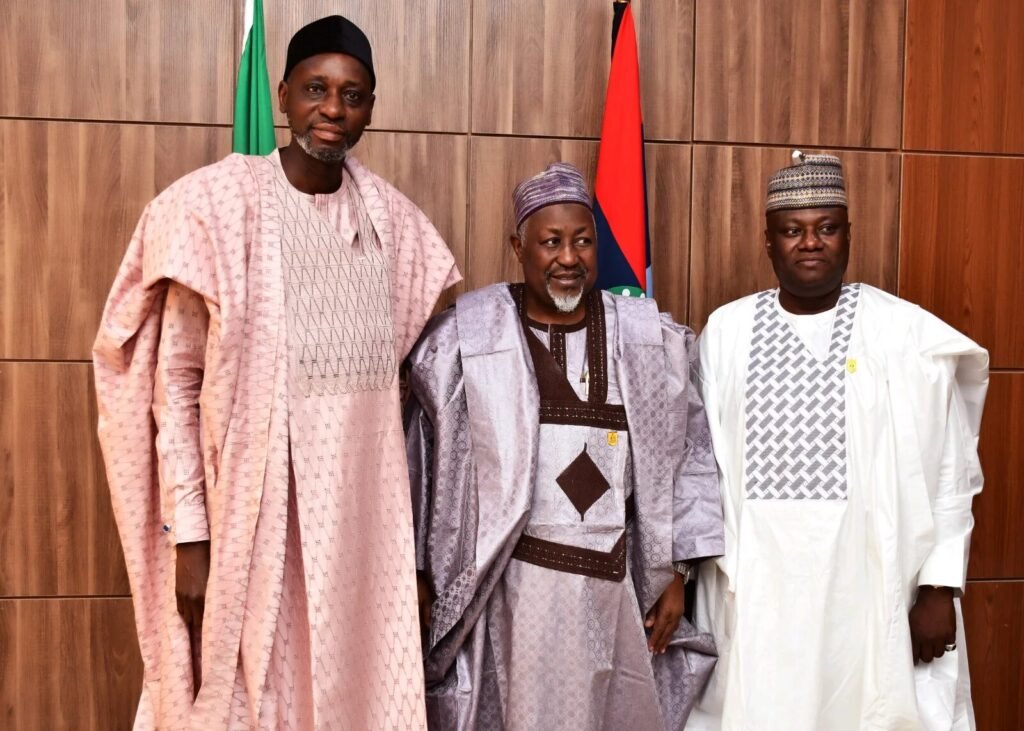 Africa’s Modernisation at Risk, Warns NIPSS Director-General