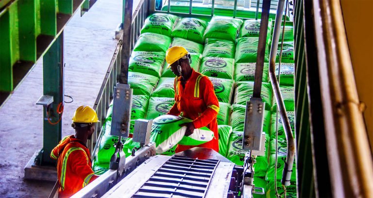Dangote Group Charts New Course for Africa’s Fertiliser Future