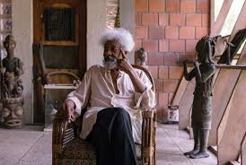 Soyinka Urges Formal Security Education as Nigeria Battles School Attacks