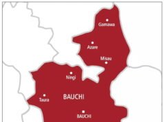 Grim tragedy in Bauchi as five police officers killed, two injured in bandit ambush Bauchi