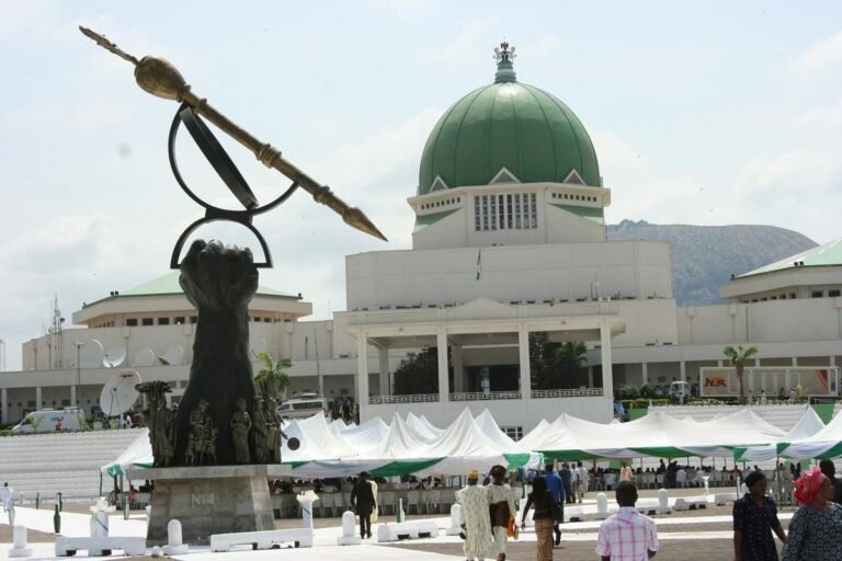 Nigeria 2024 2025 budget re-enactment