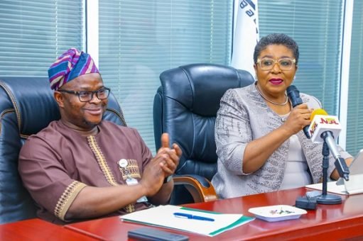 Nigeria’s Government Achieves Full Paperless Compliance Across All Federal Ministries