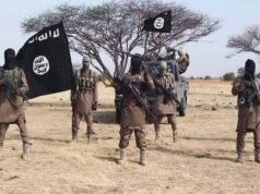 BREAKING: ISWAP Terrorists Capture 13 Soldiers, Kill Seven – Report ISWAP Sokoto US air strikes Questions trail focus of US air strikes
