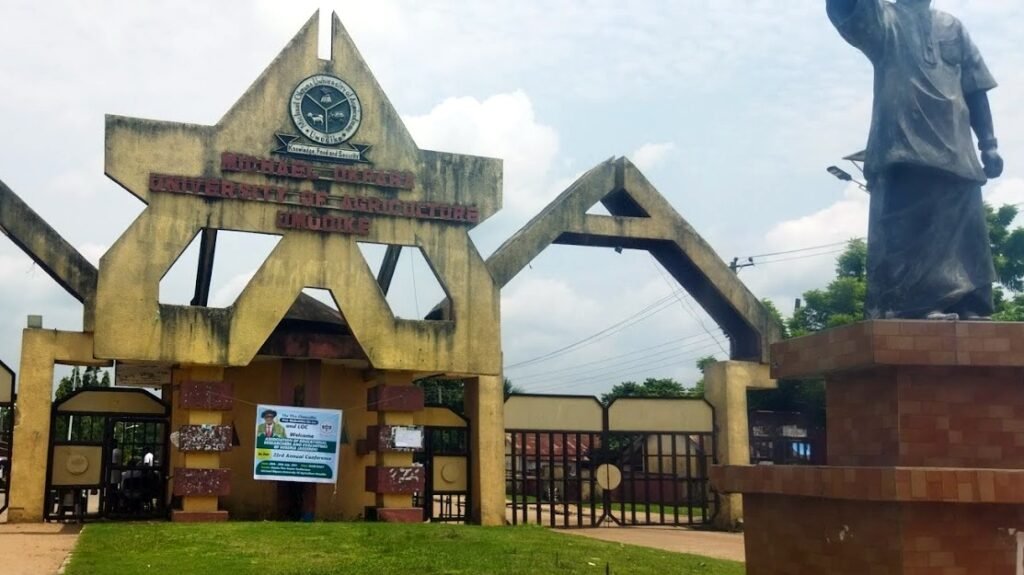 MOUAU Honours Onuigbo for Reviving Key Courses