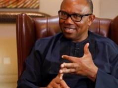 FCT Council Polls: Peter Obi Electrifies Kado-Kuchi, Rallying Massive Support for ADC Candidates Peter Obi Calls Out FG Over Contractor Payment Failure Amid Revenue Surge