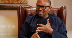 Peter Obi Blasts Nigerians: “We Deliberately Choose to Remain Poor” Peter Obi Calls Out FG Over Contractor Payment Failure Amid Revenue Surge
