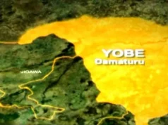 Yobe: Shocking attack as housewife stabs husband and escapes Yobe