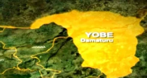 Yobe: Shocking attack as housewife stabs husband and escapes Yobe