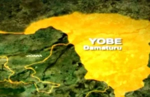 JUST IN: Dozens Killed After Nigerian Airstrike ‘Mistakenly’ Bombs Yobe Market Yobe