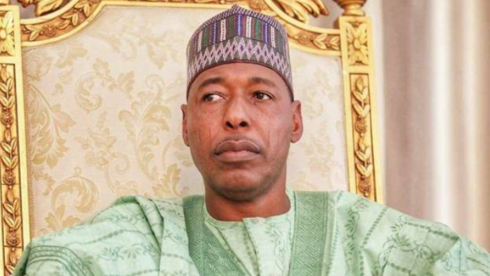 Borno Announces ₦706.5 Million Scholarship Boost