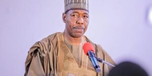 Borno Announces ₦706.5 Million Scholarship Boost