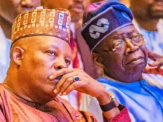 2027 Warning: Could Dropping Shettima From Ticket Could Risk APC Chance At Victory, Details Emerge Shettima