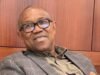I Represent the Kind of Wealth Creator Nigeria Needs- Peter Obi peter obi