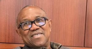 I Represent the Kind of Wealth Creator Nigeria Needs- Peter Obi peter obi