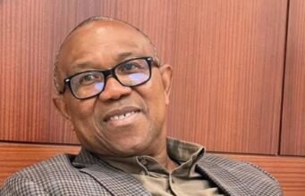 I Represent the Kind of Wealth Creator Nigeria Needs- Peter Obi peter obi
