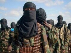 Bandits brutally kill 29, abduct many in fresh attacks bandits