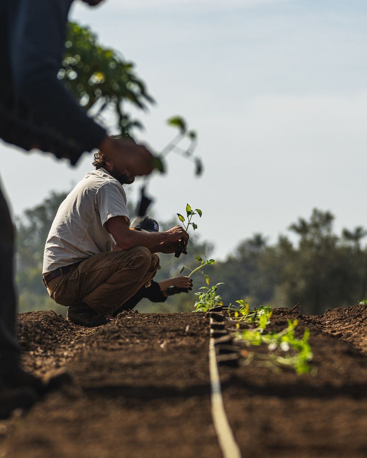 We're Hiring  Job Title: Independent Field Research Agents (Agricultural Markets)