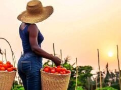 We’re Hiring Job Title: Independent Field Research Agents (Agricultural Markets) We're Hiring Job Title: Independent Field Research Agents (Agricultural Markets)