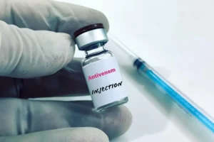 Antivenom