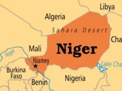 Niger Attacks: Dozens Feared Dead In Brutal Attacks On Communities Niger