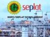 Seplat Energy opens applications for 2024/2025 undergraduate scholarship scheme Seplat Energy opens applications for 2024/2025 undergraduate scholarship scheme