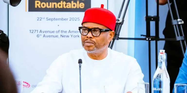 Uche Nnaji