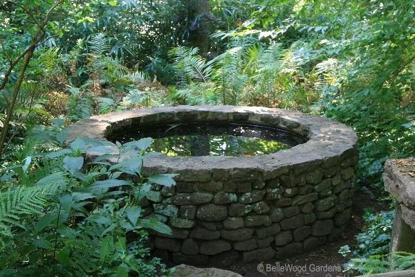 Tragedy in Iseyin as man loses life while saving goat from deep well