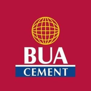 The "real koko" of BUA Cement’s record-breaking N465 billion profit.