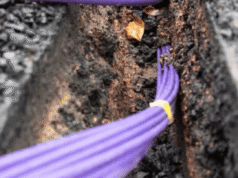 Nigeria Wins $100m EBRD Support to Drive Fibre-Optic Expansion Nigeria Wins $100m EBRD Support to Drive Fibre-Optic Expansion