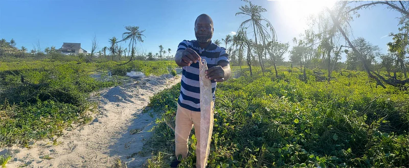 Nigeria Secures $200 Million Boost from African Development Bank to Transform Farming Sector