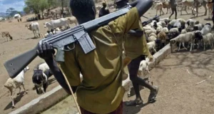 BREAKING: Horror in Benue as Herdsmen Storm Community, Kidnap Women, Torch Market Benue