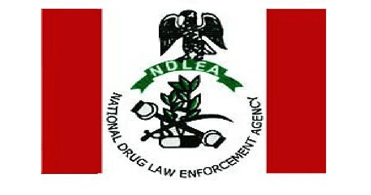 NDLEA nabs elusive drug kingpin and shuts down Imo meth factory