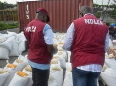 NDLEA nabs elusive drug kingpin and shuts down Imo meth factory NDLEA nabs elusive drug kingpin and shuts down Imo meth factory