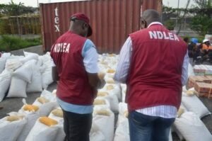 NDLEA nabs elusive drug kingpin and shuts down Imo meth factory