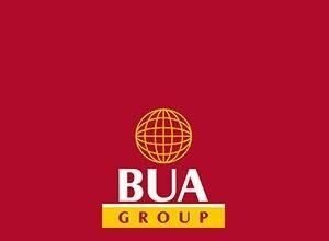 BUA Foods and the puzzle of trading like a high-growth tech giant on the NGX Caregiver at Tippytoes Kidcare Limited