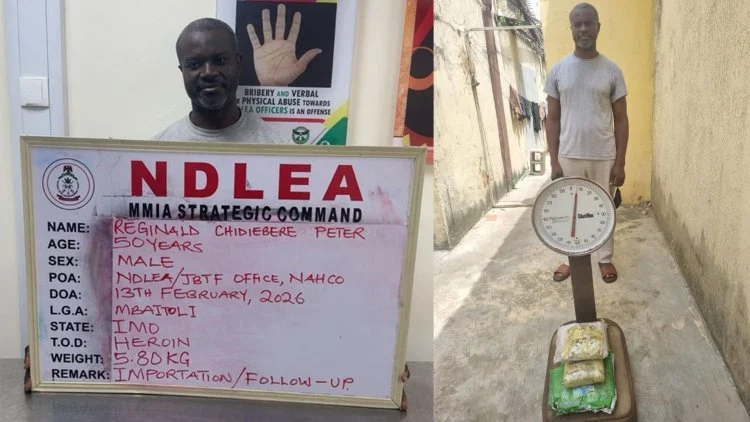 NDLEA nabs elusive drug kingpin and shuts down Imo meth factory