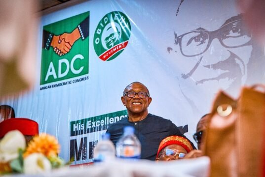 There Is Hope For Nigeria In Peter Obi- Dan Ulasi peter obi