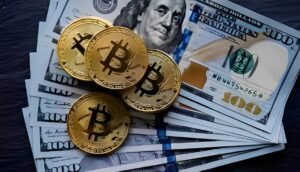 Cryptonia Evolution Global Citizens Platform Signals New Shift in Digital Identity and Finance