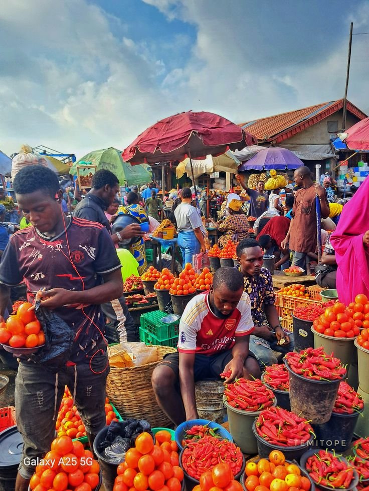 Nigeria's food inflation persists as N7.65 trillion import bill fails to lower prices