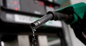 fuel subsidy