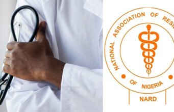 Positive Breakthrough: NARD Confirms Commencement of Long-Awaited CONMESS Arrears Payment for Resident Doctors resident doctors