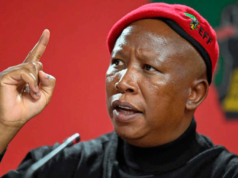 Julius Malema Bags 5-Year Jail Term Over Firearm Discharge Julius Malema