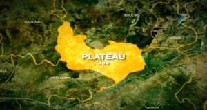 Plateau Under Fresh Attack as Gunmen Kill Farmer, Rustle 50 Cows Plateau state