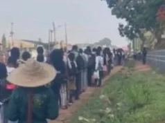 OAU Students Protest Transport Crisis, Demand Return to Normal Academic Life OAU Students Protest Transport Crisis, Demand Return to Normal Academic Life