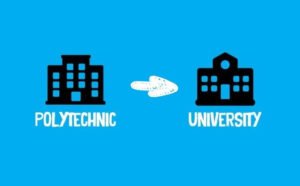 Why Polytechnics in Nigeria Need a Comeback, Not Conversion