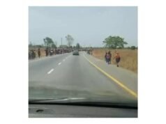 Panic as Thousands Flee Nasarawa on Foot Amid Consistent Bandit Attacks Nasarawa